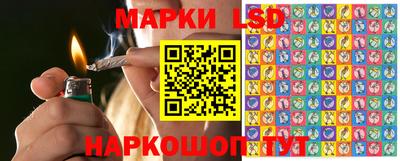 гидропоника Апшеронск